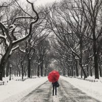 Rhythms of Engagement and Withdrawal | Doug Nuenke | Woman walking in the snow at Central Park, New York, USA