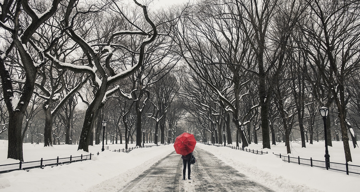 Rhythms of Engagement and Withdrawal | Doug Nuenke | Woman walking in the snow at Central Park, New York, USA