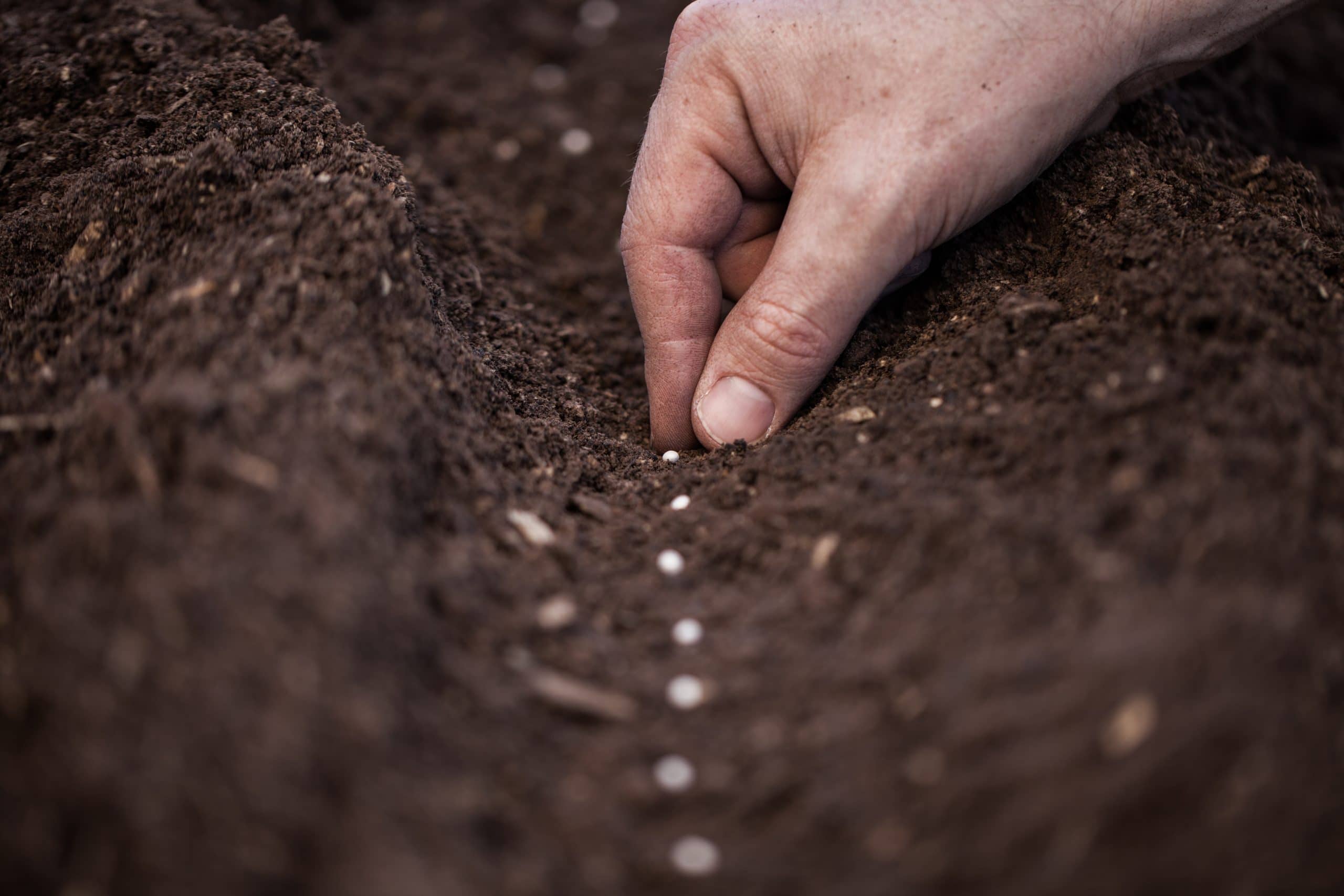 sowing seeds of the gospel in Spain the Navigators