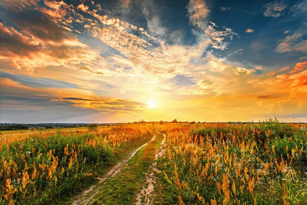 Unshakeable Joy | Doug Nuenke | Summer sunset landscape with a dirt road through a field.