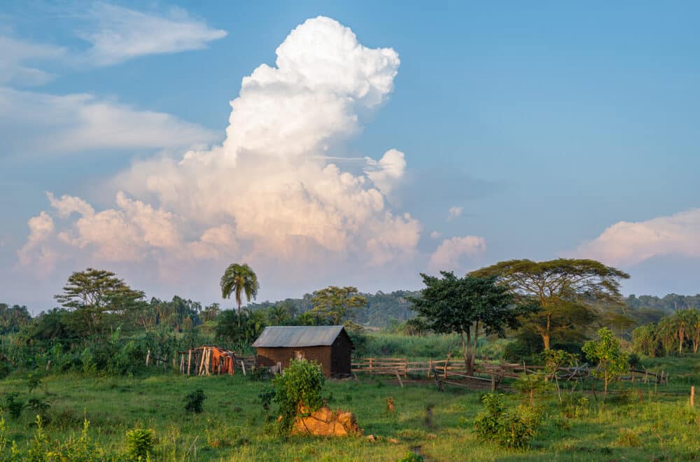 A small rural hut with a metal roof sits in a lush green field surrounded by trees and simple wooden fencing.