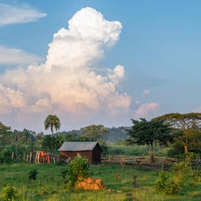 A small rural hut with a metal roof sits in a lush green field surrounded by trees and simple wooden fencing.